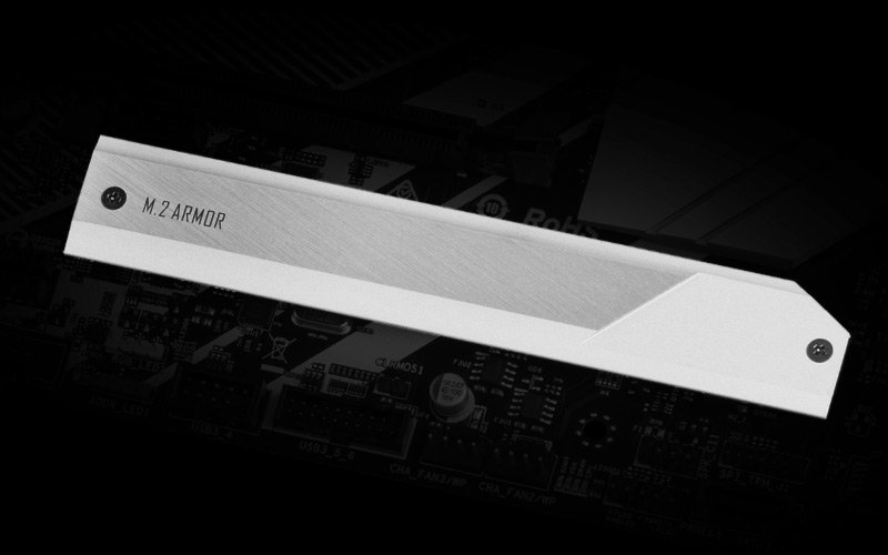 Full Coverage M.2 + Ultra M.2 x2 (No 22210)